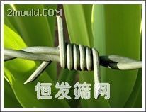 供应云南昆明刺铁丝防护网防盗网_安全防护_世界工厂网中国产品信息库